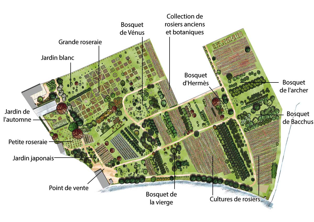 Plan pépinière paul croix